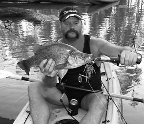 Ron Galvin with a nice Murray golden perch, caught on a Murray River Spinnerbait.